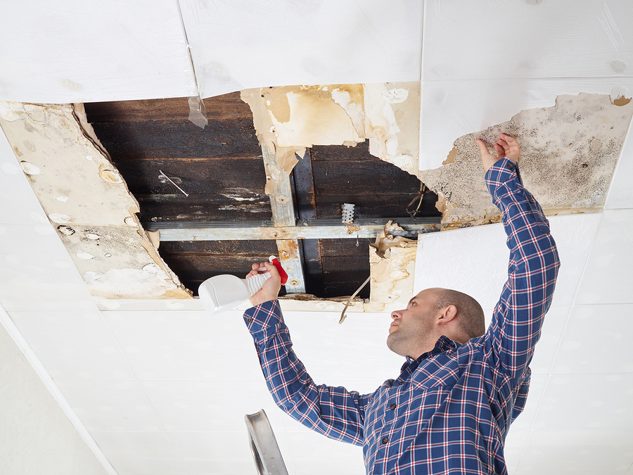 man cleaning mold on ceiling.Ceiling panels damaged huge hole in roof from rainwater leakage.Water damaged ceiling .